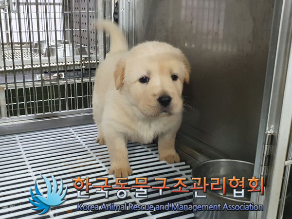 종료(안락사) 믹스…